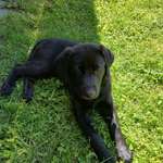 Ersteller:in Anja Profilbild