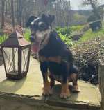 Suchmeldung-BINA-Bild