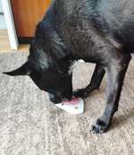 Abkühlung durch abduschen?-Beitrag-Bild