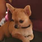 Ersteller:in Vera Profilbild