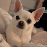 Ersteller:in Vera Profilbild