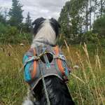 Ersteller:in Joy Profilbild