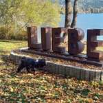 Ersteller:in Doris Profilbild