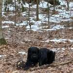 Ersteller:in Inga Profilbild