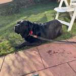 Ersteller:in Inga Profilbild