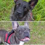 Ersteller:in De Profilbild