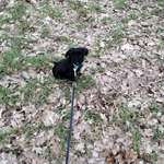 Ersteller:in Le Profilbild