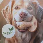 Hundefutter auf Basis von Pilzen?-Beitrag-Bild