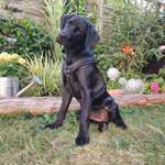 Ersteller:in Tobias Profilbild