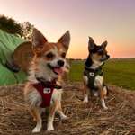 Ersteller:in Sarah Profilbild