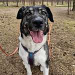 Ersteller:in Yvonne Profilbild