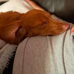 Ersteller:in Jule Profilbild