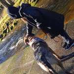 Ersteller:in Liesa Profilbild