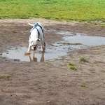 Ersteller:in Maja Profilbild