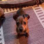 Ersteller:in Lilly Profilbild