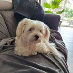 Ersteller:in Claudia Profilbild