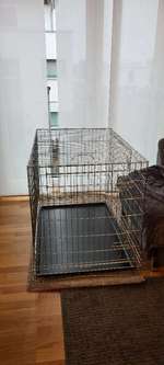 Trixie Friends on Tour Home Kennel-Beitrag-Bild