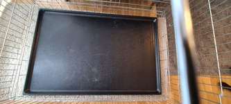 Trixie Friends on Tour Home Kennel-Beitrag-Bild