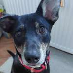 Ersteller:in E. Profilbild