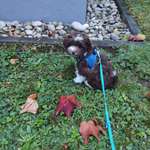 Ersteller:in Dana Profilbild