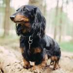 Ersteller:in Jessica Profilbild