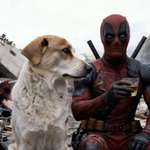 Ersteller:in Kuki's Profilbild