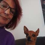 Ersteller:in Elfi Profilbild