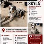 Suchmeldung-Skyla-Bild
