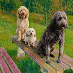 Ersteller:in Sigrid Profilbild