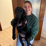 Ersteller:in Marie Profilbild