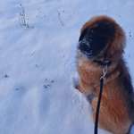 Ersteller:in Cay Profilbild