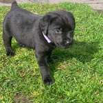 Ersteller:in Kerstin Profilbild