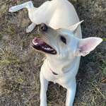 Ersteller:in Jessica Profilbild