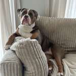 Ersteller:in Zoe Profilbild