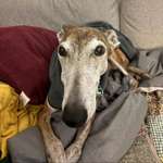 Ersteller:in Julia Mai Profilbild