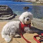 Ersteller:in Teresa Profilbild