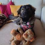 Ersteller:in Angela Profilbild