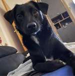 Ersteller:in Thorsten Profilbild