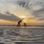 Ersteller:in Birte Profilbild