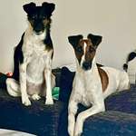 Ersteller:in Sophie Profilbild