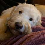 Ersteller:in Nadine Profilbild