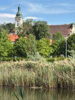 Hundeauslaufgebiet-Weiher am Kloster Fürstenfeld-Bild