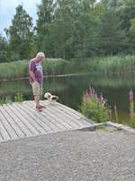 Hundeauslaufgebiet-Weiher am Kloster Fürstenfeld-Bild