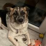 Ersteller:in Tamara Profilbild