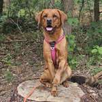 Ersteller:in P. Profilbild