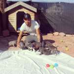 Ersteller:in Ismail Profilbild