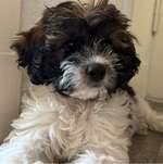 Ersteller:in Lilli Profilbild