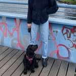 Ersteller:in Johanna Profilbild