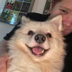 Ersteller:in Silke Profilbild