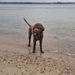 Ersteller:in Henrike Profilbild